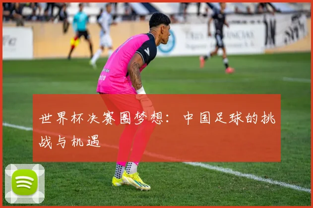 世界杯决赛圈梦想：中国足球的挑战与机遇