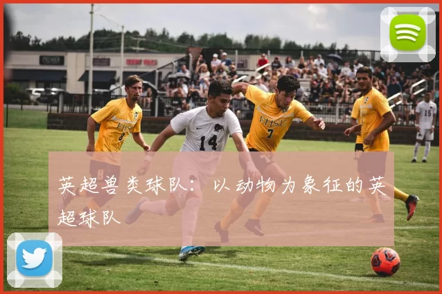 英超兽类球队：以动物为象征的英超球队