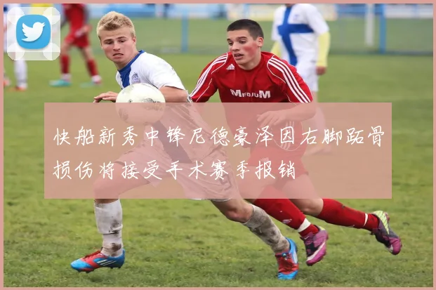 快船新秀中锋尼德豪泽因右脚跖骨损伤将接受手术赛季报销