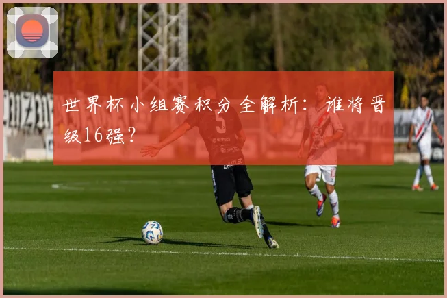 世界杯小组赛积分全解析：谁将晋级16强？