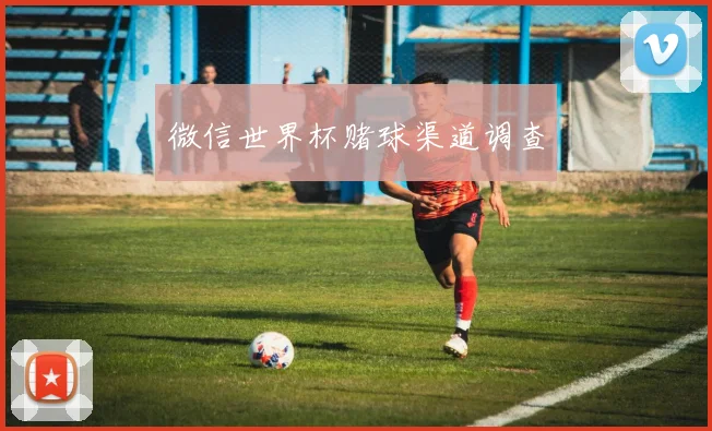 微信世界杯赌球渠道调查