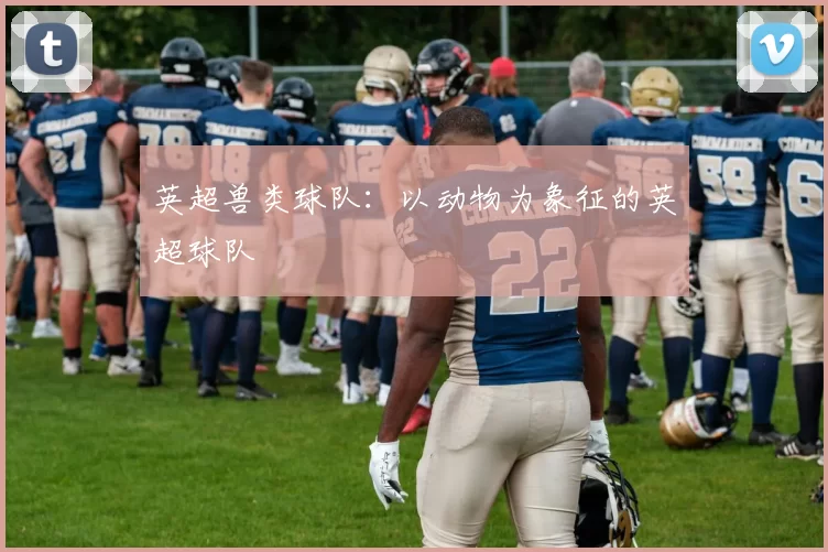 英超兽类球队：以动物为象征的英超球队