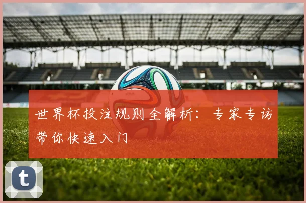 世界杯投注规则全解析:专家专访带你快速入门