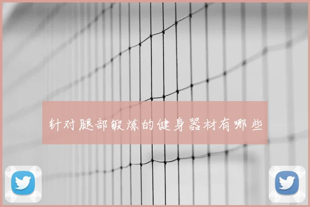 针对腿部锻炼的健身器材有哪些