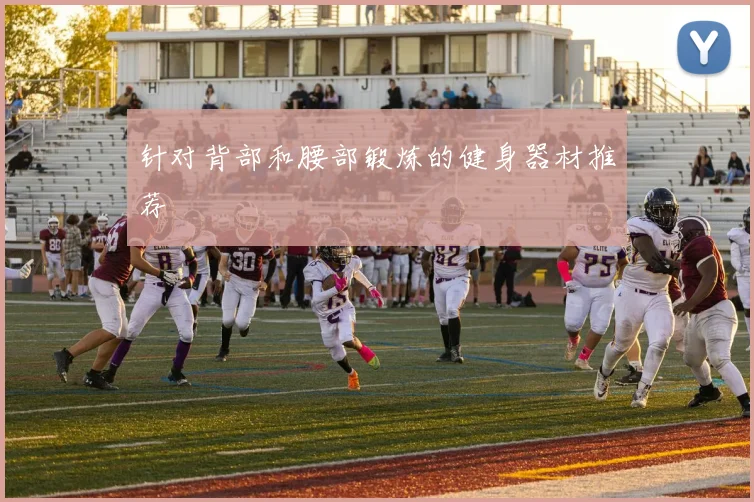 针对背部和腰部锻炼的健身器材推荐