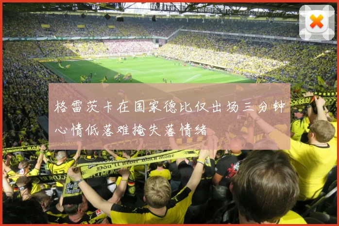 格雷茨卡在国家德比仅出场三分钟心情低落难掩失落情绪