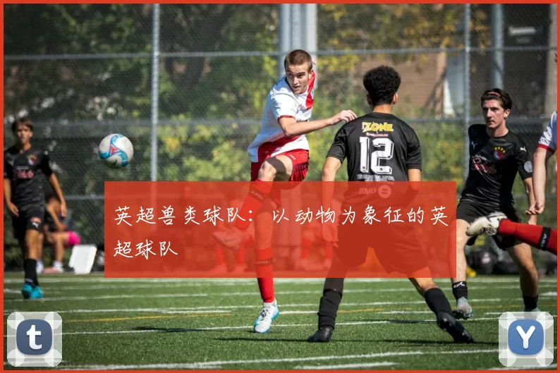 英超兽类球队：以动物为象征的英超球队