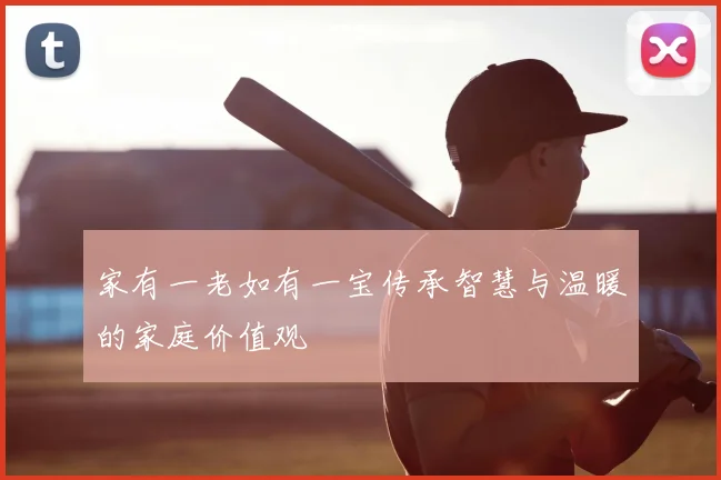 家有一老如有一宝传承智慧与温暖的家庭价值观