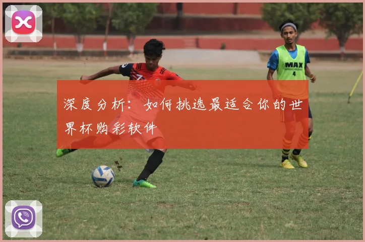 深度分析:如何挑选最适合你的世界杯购彩软件