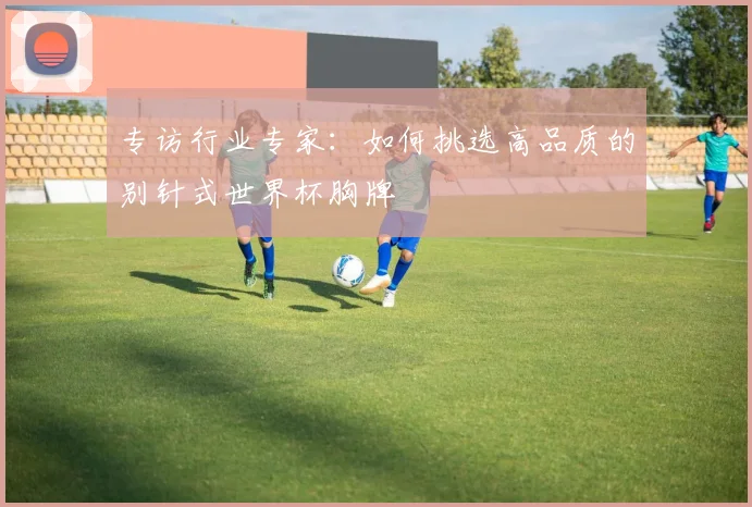 专访行业专家:如何挑选高品质的别针式世界杯胸牌