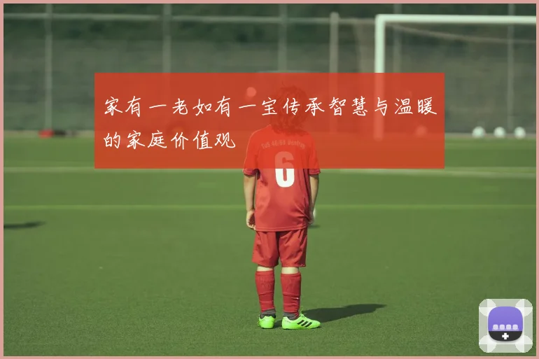 家有一老如有一宝传承智慧与温暖的家庭价值观