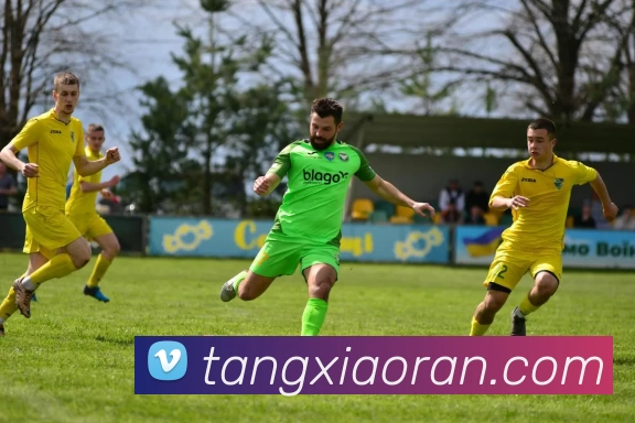 星空体育平台生态图