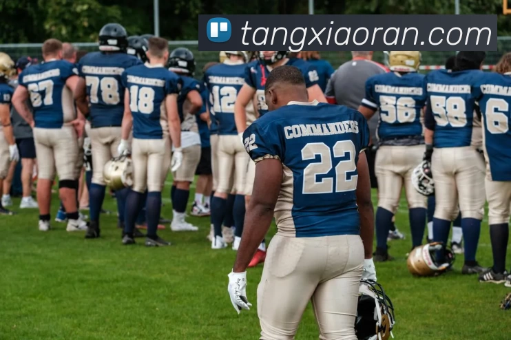 数据防护可视化